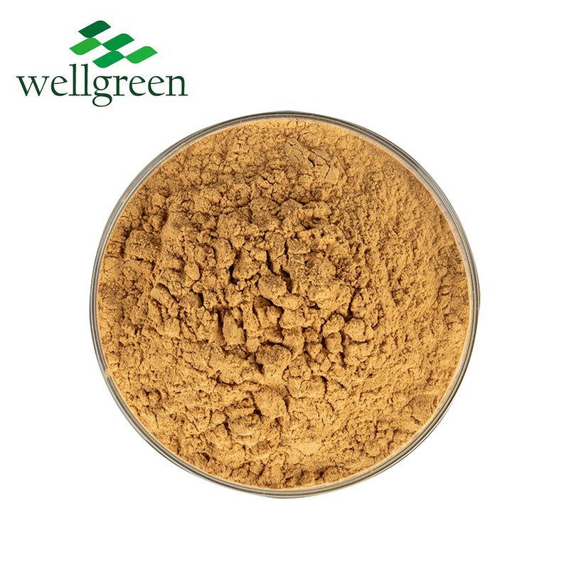 Yucca Extract Powder Manufacturer - Root Saponin Water Soluble Sarsaponin