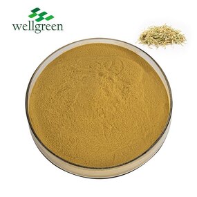 Honeysuckle Flower Extract Manufacturer - Wellgreen Factory Supply with Chlorogenic Acid