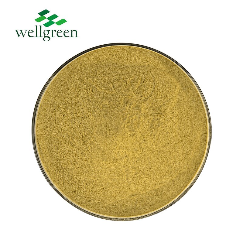 Beta-Sitosterol Powder Manufacturer - Wellgreen Supply from Corn Silk