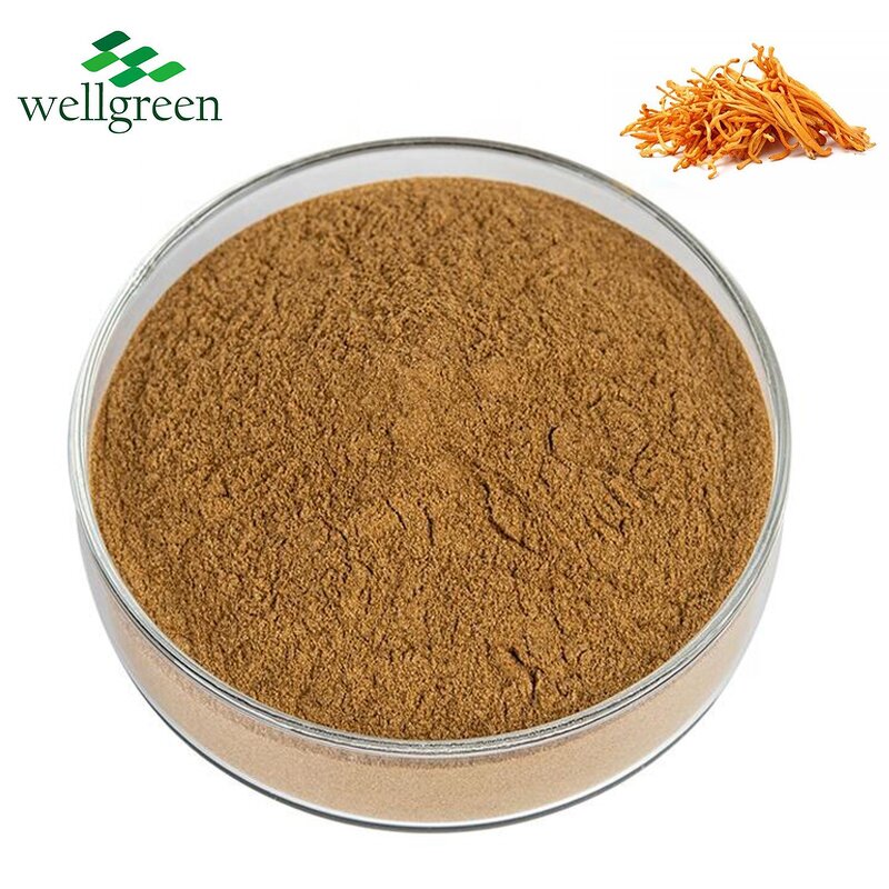 Mushroom Extract Powder Manufacturer - Wellgreen Organic Shiitake, Maitake, Reishi Blend