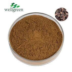 Saponin Powder Manufacturer - Highest Quality 100% Natural Quillaja Bark Extract