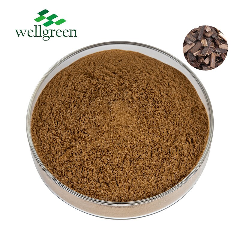 Saponin Powder Manufacturer - Highest Quality 100% Natural Quillaja Bark Extract