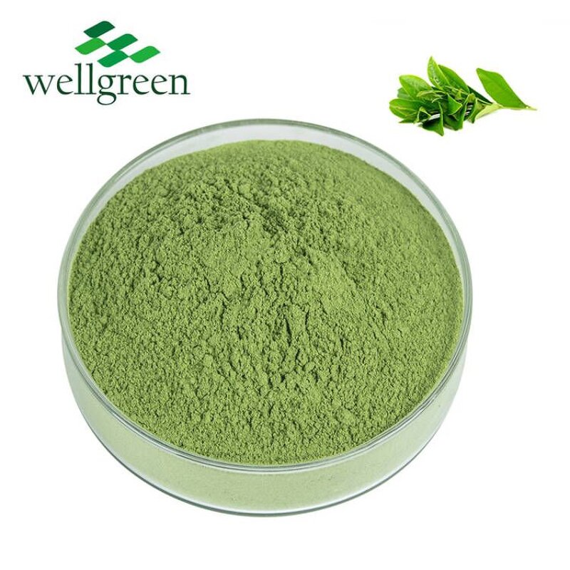 Matcha Tea Powder Manufacturer - Ceremonial Green Japanese Organic Halal