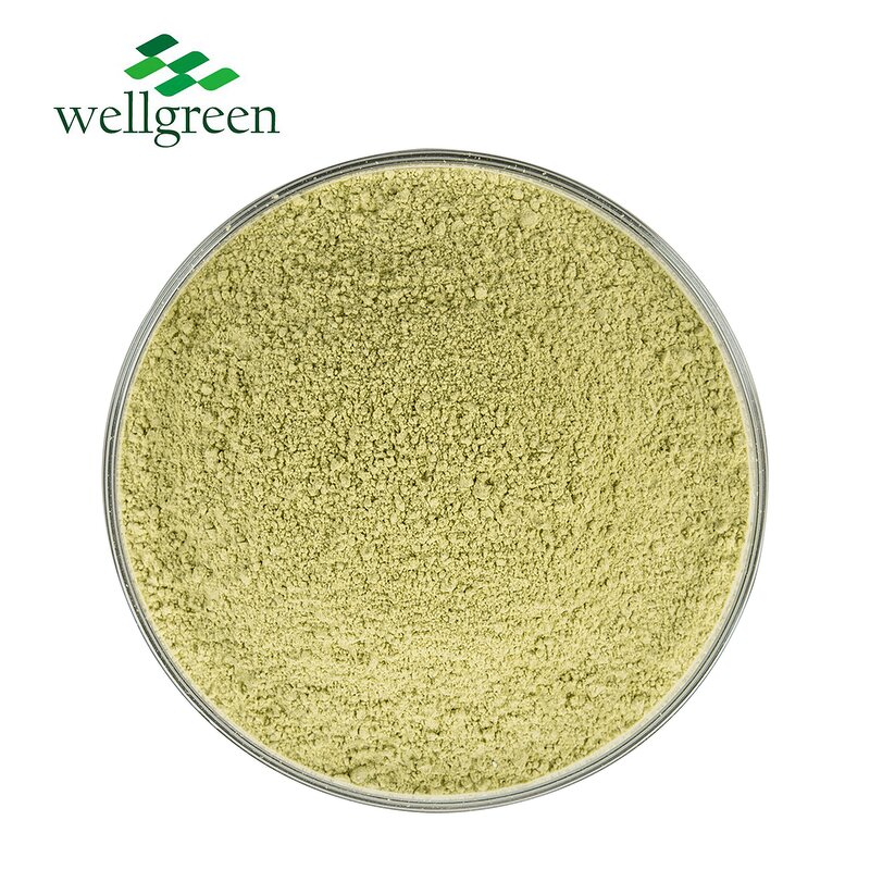 Purple Cabbage Powder Manufacturer - Fermented Red Juice Herbal Extract