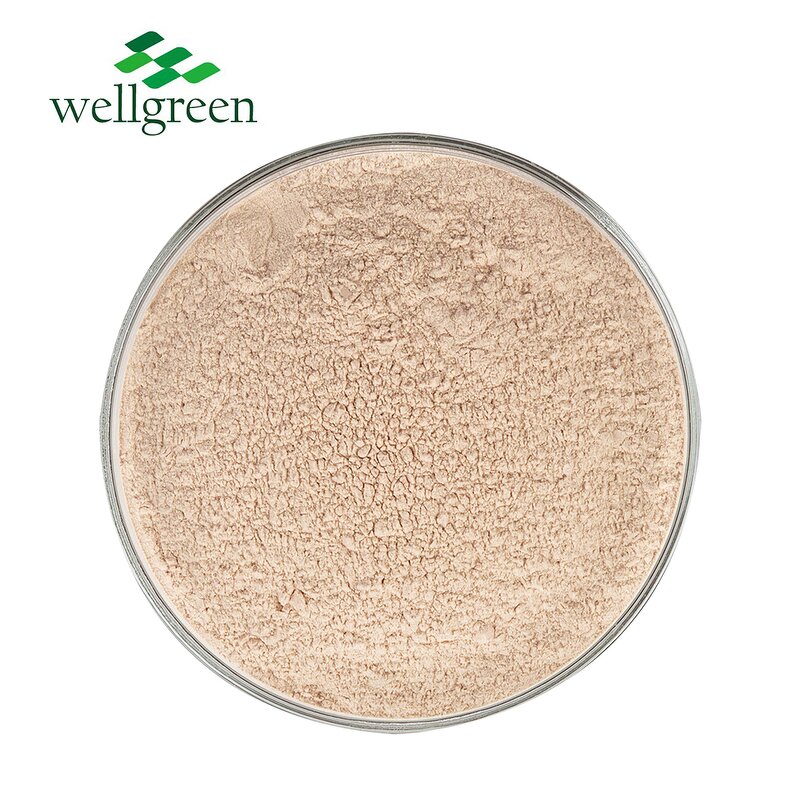 Onion Powder Manufacturer - Gold Supplier Dehydrated Organic Red, Green, White