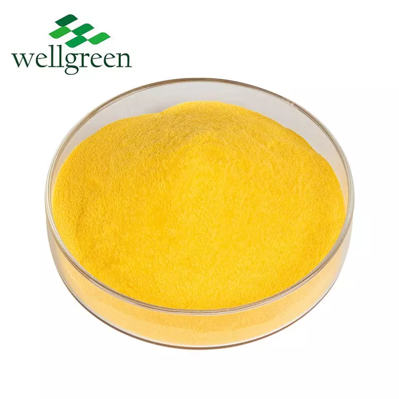 Vitamin B Complex Powder Manufacturer - OEM B1, B2, B3, B6, B7, B9, B12