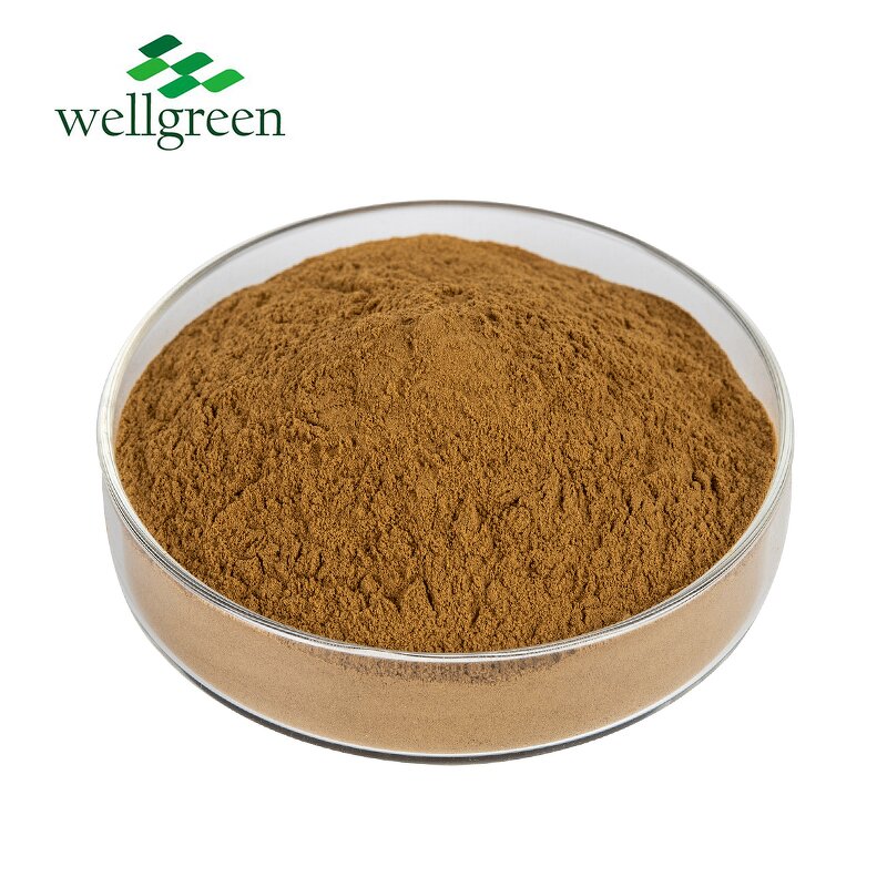 Soapberry Extract Powder Manufacturer - Wellgreen Bulk High Quality Sapindus