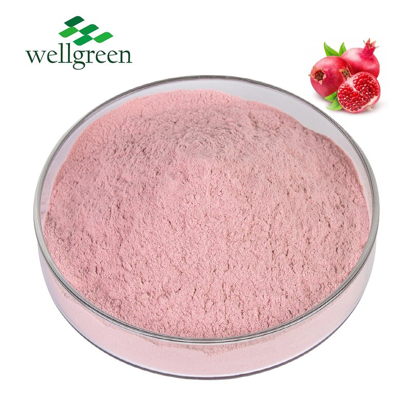 Fruit and Vegetable Powder Manufacturer - Bulk Export Natural Water Soluble Super Food