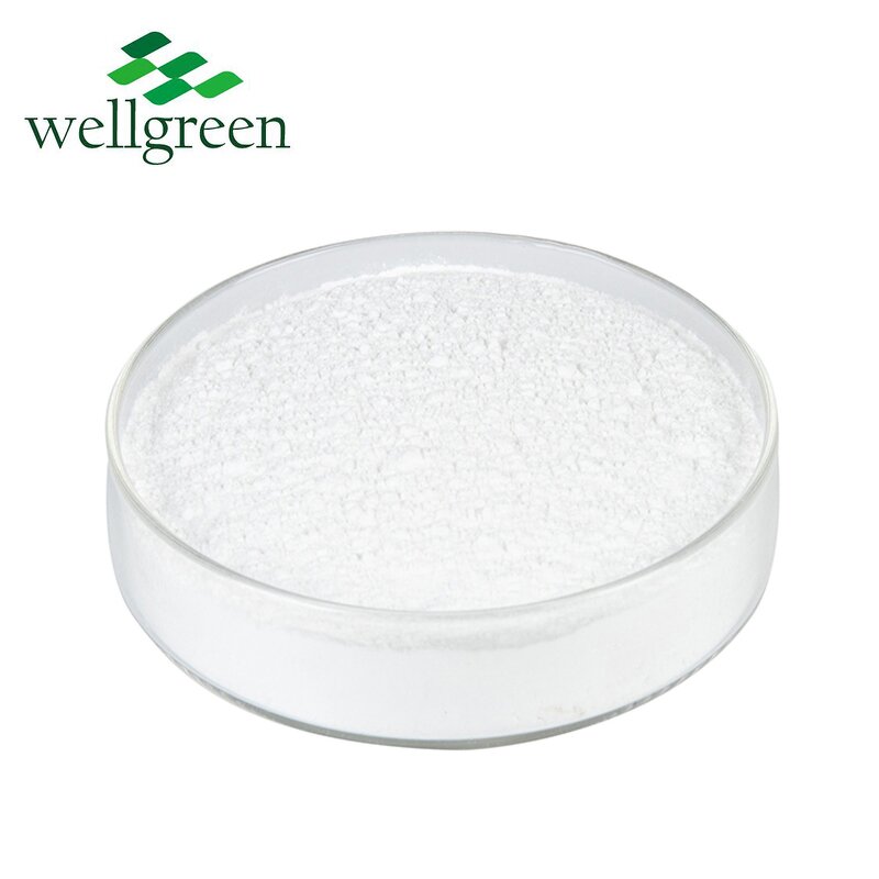 D-Biotin Powder Manufacturer - Wellgreen Bulk Pure Vitamin H for Hair Growth