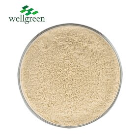 Oyster Mushroom Powder Manufacturer - Wellgreen 100% Pure USDA Organic 500 Mesh