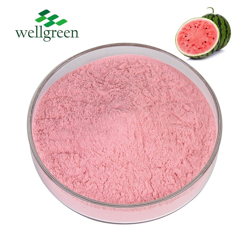 Watermelon Juice Powder Manufacturer - Pure Natural Water Soluble Freeze Dried