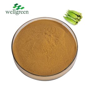Okra Extract Powder Manufacturer - Natural Organic Polysaccharide from Seed