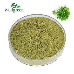 Coriander Powder Manufacturer - China Manufacturer Water Soluble Extract
