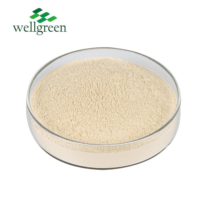 Oyster Mushroom Powder Manufacturer - Wellgreen 100% Pure USDA Organic 500 Mesh