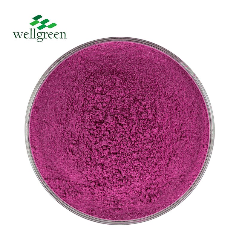 Dragon Fruit Powder Manufacturer - Pure Natural Freeze Dried Water Soluble Pitaya