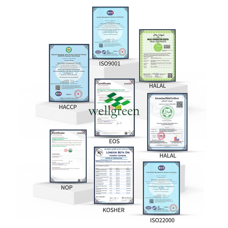 Soapberry Extract Powder Manufacturer - Wellgreen Bulk High Quality Sapindus