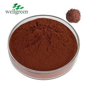 Grape Seed Extract Powder Manufacturer - Skin Cosmetic Use 95% OPC Natural Antioxidant