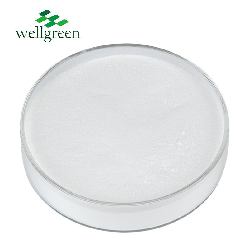 Lactobionic Acid Powder Manufacturer - Wellgreen Cosmetic Grade 99% CAS 96-82-2