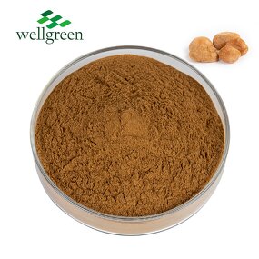 Lion's Mane Mushroom Extract Manufacturer - Wellgreen Organic 30% Beta-Glucan