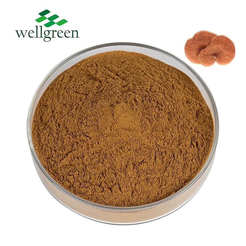 Mushroom Extract Powder Manufacturer - Wellgreen 8 in 1 Premix for Coffee