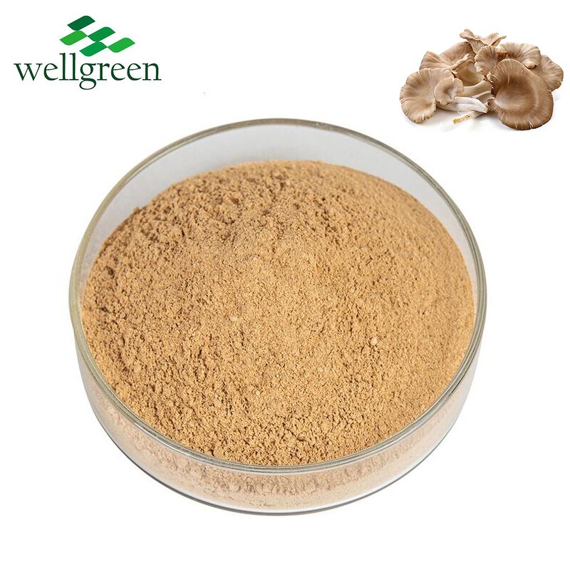 Oyster Mushroom Powder Manufacturer - 100% Pure Organic for Plant Protein