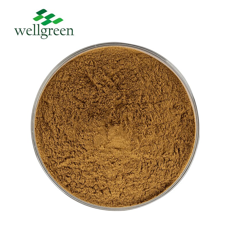Soapberry Extract Powder Manufacturer - Wellgreen Bulk High Quality Sapindus