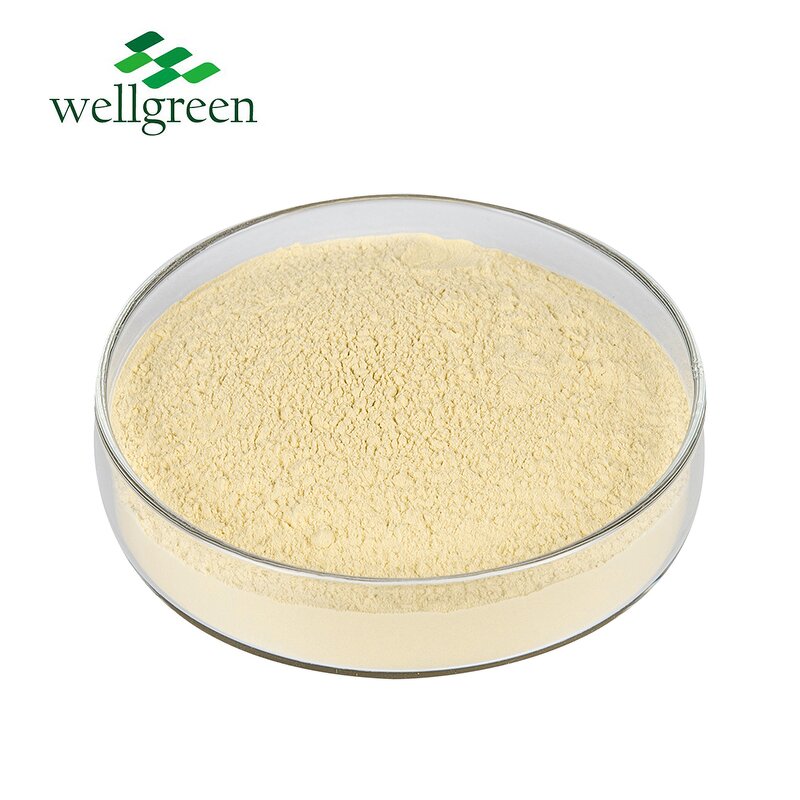 Sunflower Lecithin Manufacturer - Halal Organic Liquid CAS 8002-43-5 Bulk