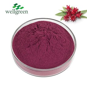 Roselle Extract Powder Manufacturer - ISO Factory Supply Food Grade Hibiscus Flower