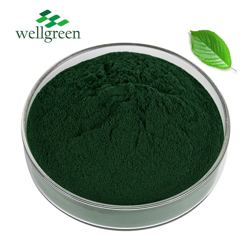 Chlorophyllin Powder Manufacturer - Natural Mulberry Leaf Extract E80 Sodium Copper