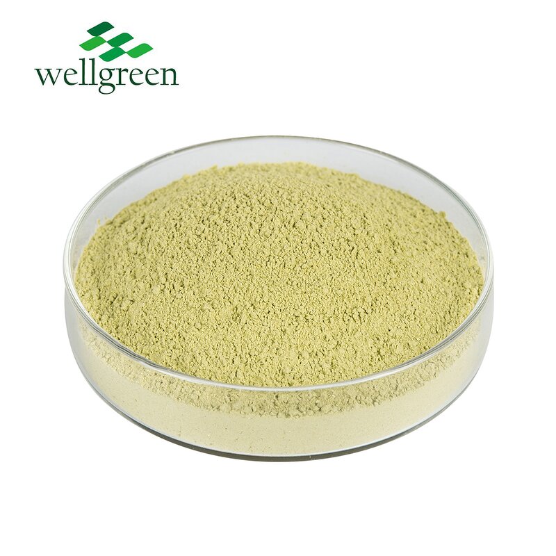 Purple Cabbage Powder Manufacturer - Fermented Red Juice Herbal Extract