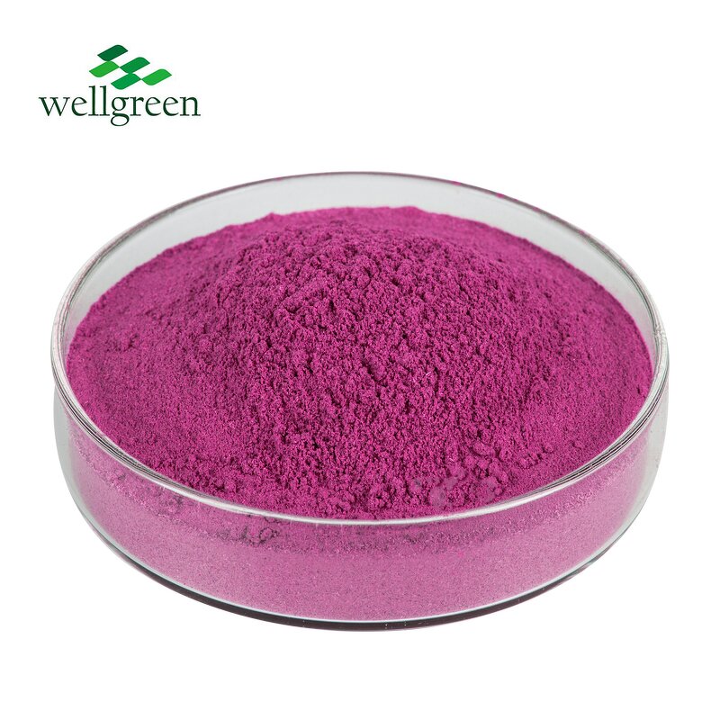 Dragon Fruit Powder Manufacturer - Pure Natural Freeze Dried Water Soluble Pitaya