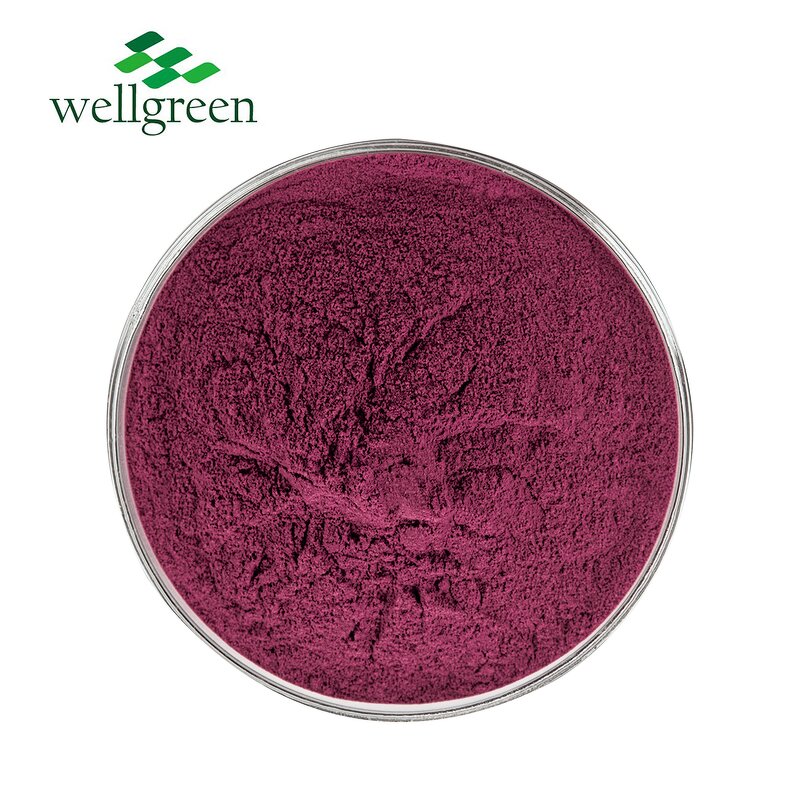 Roselle Extract Powder Manufacturer - ISO Factory Supply Food Grade Hibiscus Flower