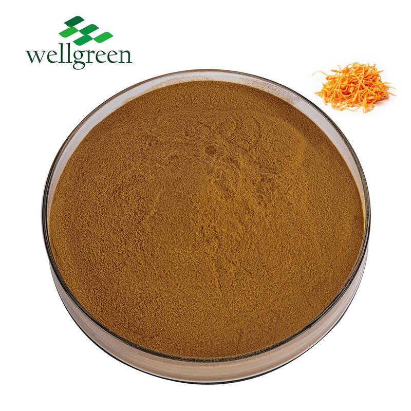 Mushroom Extract Powder Manufacturer - Wellgreen 8 in 1 Premix for Coffee
