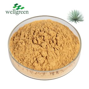 Yucca Extract Powder Manufacturer - Schidigera Root Saponin