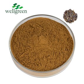 Soapberry Extract Powder Manufacturer - Wellgreen Bulk High Quality Sapindus