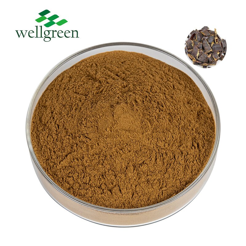 Soapberry Extract Powder Manufacturer - Wellgreen Bulk High Quality Sapindus