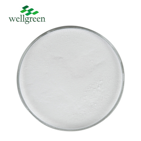 L-Aspartic Acid Manufacturer - Wellgreen Bulk Food & Cosmetic Grade CAS 56-84-8