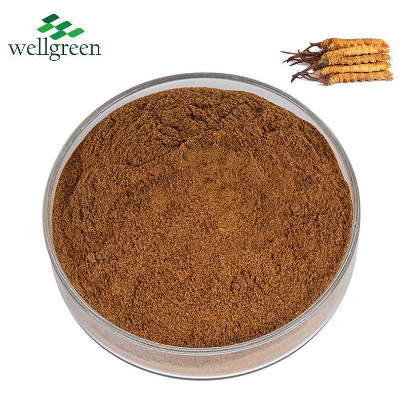 Cordyceps Sinensis Extract Manufacturer - Chinese Caterpillar Fungus Polysaccharide