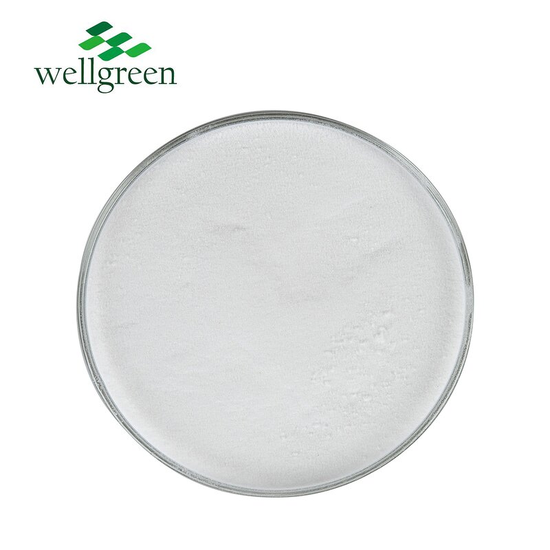 Lactobionic Acid Powder Manufacturer - Wellgreen Cosmetic Grade 99% CAS 96-82-2