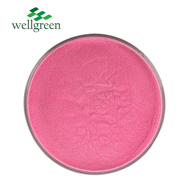 Watermelon Juice Powder Manufacturer - Pure Natural Water Soluble Freeze Dried