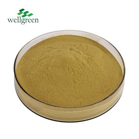 Chlorogenic Acid Powder Manufacturer - 50%-98% Purity, Green Coffee Bean Extract