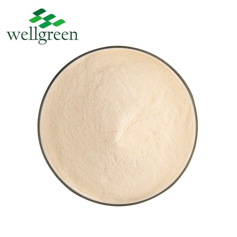 Aloe Vera Powder Manufacturer - Wellgreen Spray Dried Freeze-Dried 200:1 Gel