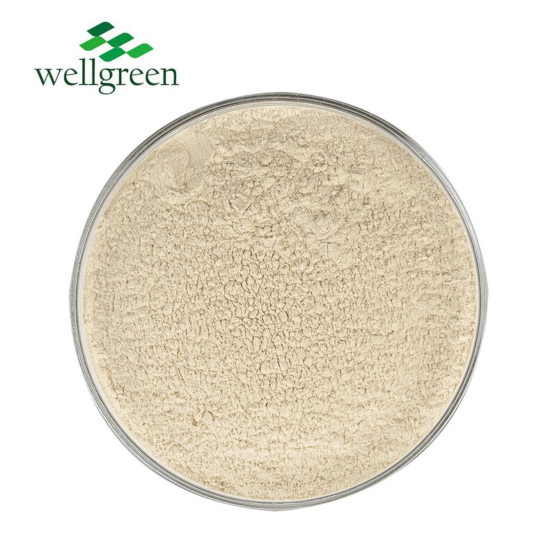 Almond Powder Manufacturer - Juice Nutrition Casa Shell Instant Milk Flour Protein