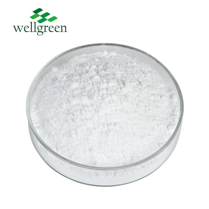 Stigmasterol Powder Manufacturer - Wellgreen Factory Cosmetic Grade 95% CAS 83-48-7