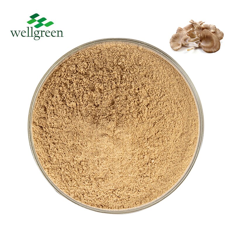 Oyster Mushroom Powder Manufacturer - 100% Pure Organic for Plant Protein