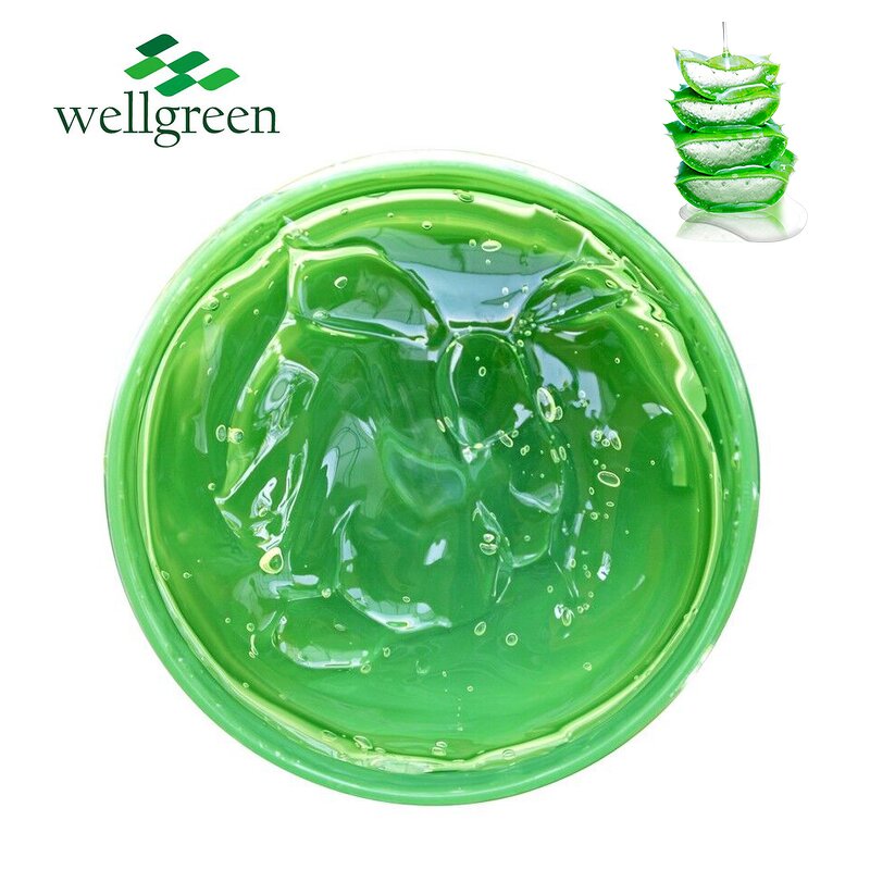 Aloe Vera Extract Powder Manufacturer - Bulk Natural 100% Pure Inner Leaf Gel