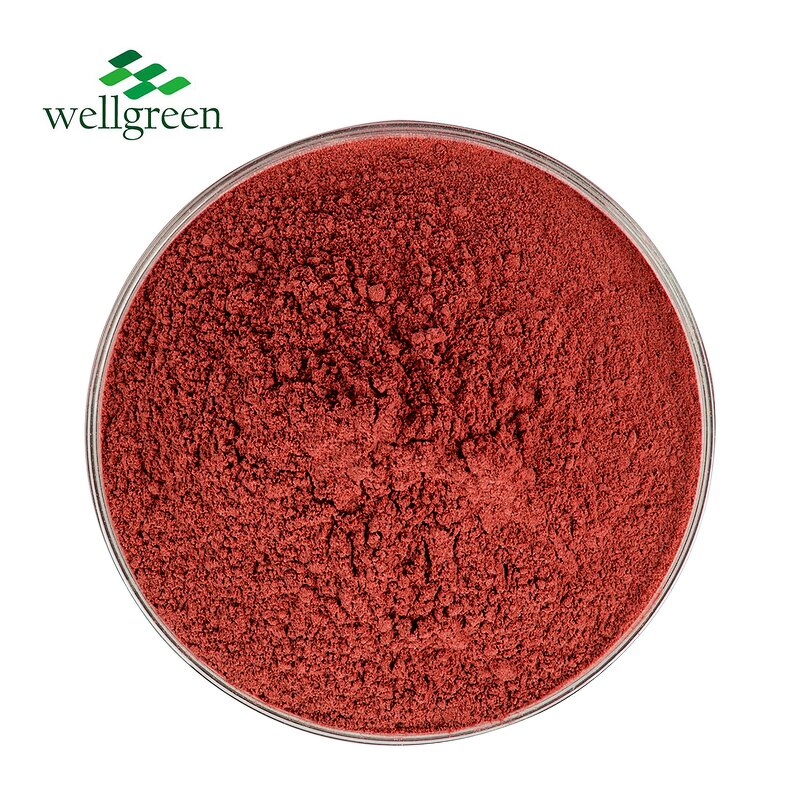 Tomato Powder Manufacturer - Natural Organic Food Grade Spray Dried
