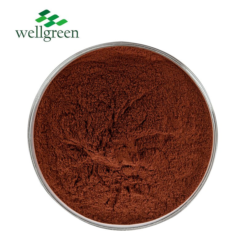 Grape Seed Extract Powder Manufacturer - Skin Cosmetic Use 95% OPC Natural Antioxidant