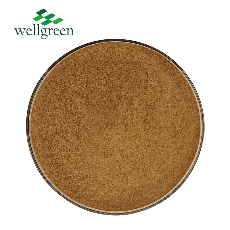 Rosemary Extract Powder Manufacturer - HALAL Certificate 5%-98% Rosmarinic Acid