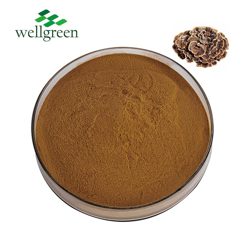 Shiitake Mushroom Extract Manufacturer - Wellgreen USDA 30% & 50% AHCC Powder